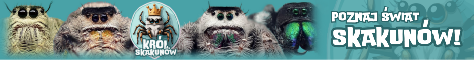 Król Skakunów